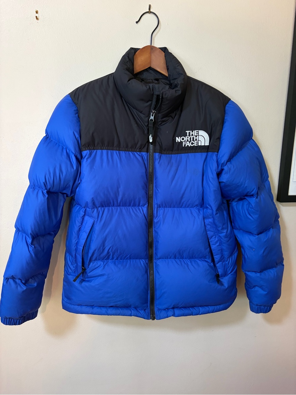 The north face nuptse 1996 puffer